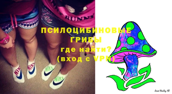 PSILOCYBIN Алексеевка