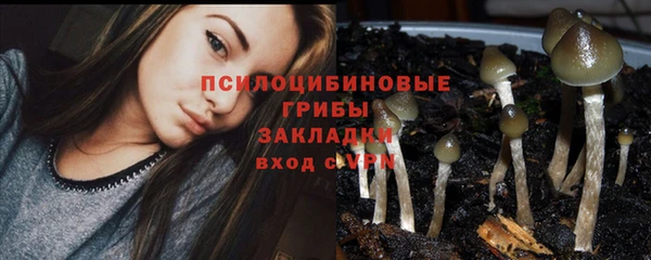 наркотики Алексин