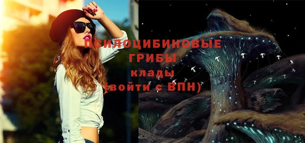 амф Алзамай