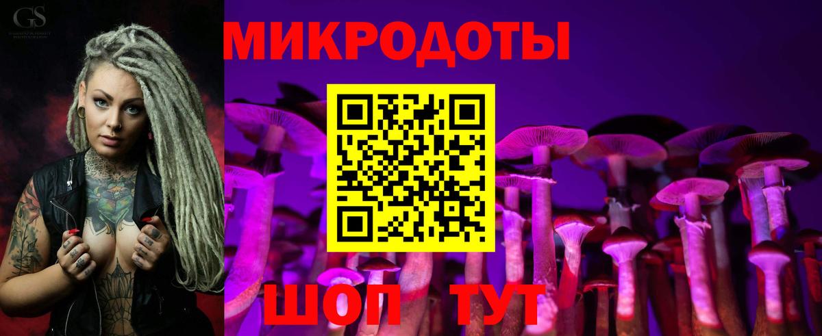 Псилоцибиновые грибы Psilocybe  Вход с VPN  Галлюциногенные грибы мухоморы  Россошь 